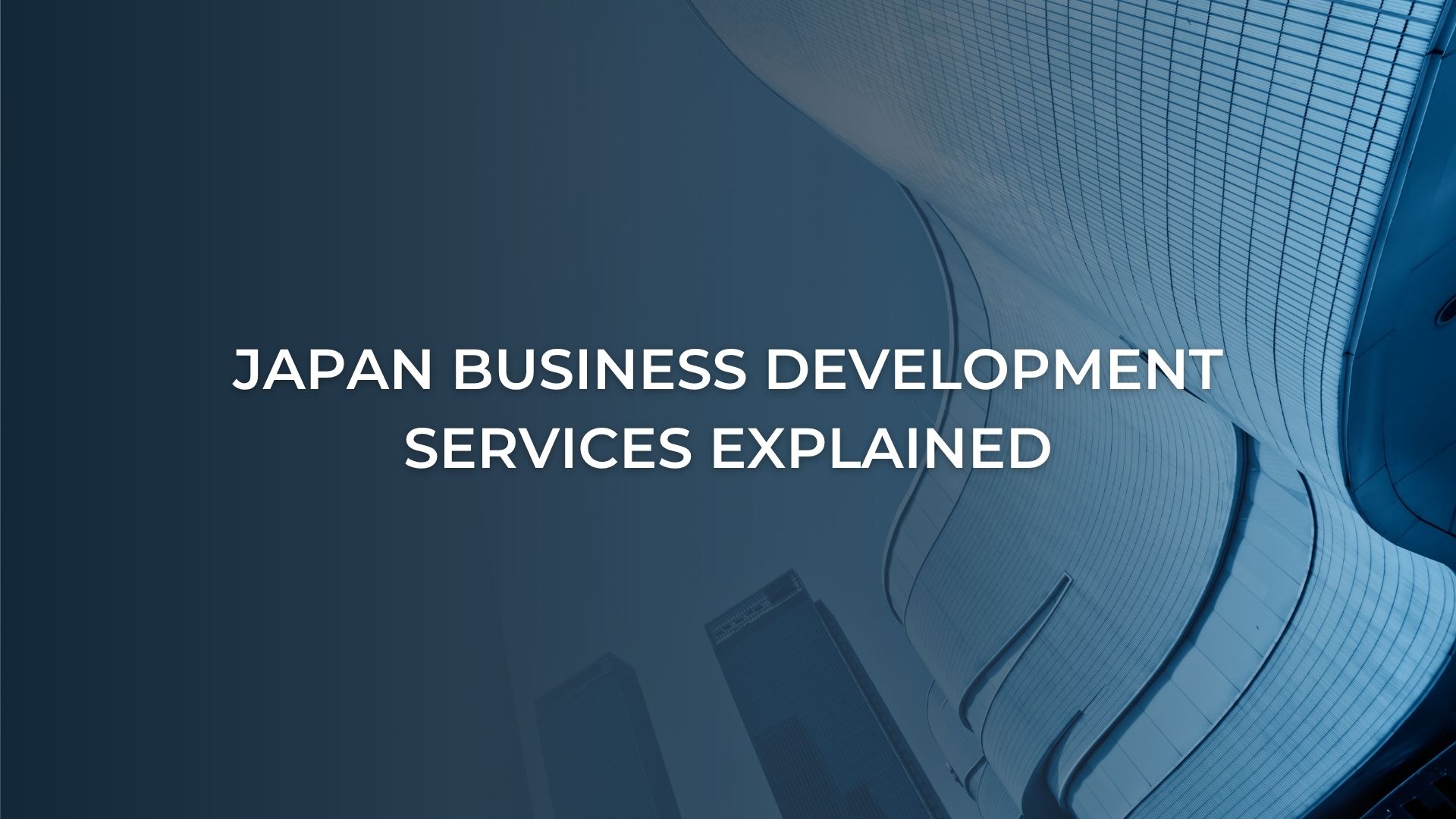 Japan Business Development Services